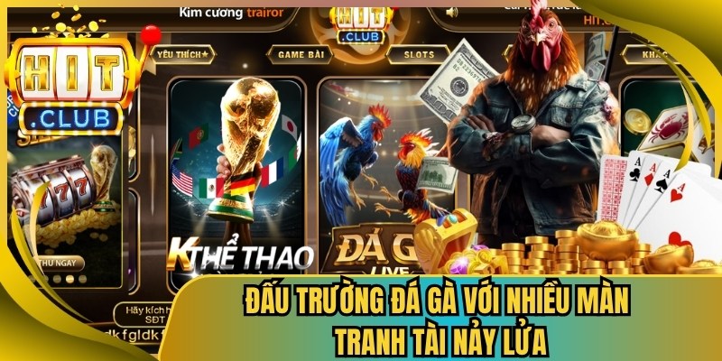 Đấu trường đá gà với nhiều màn tranh tài nảy lửa
