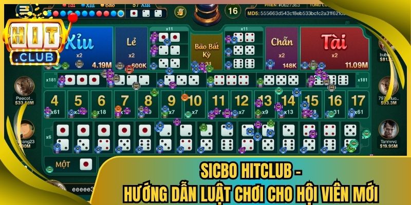 Sicbo Hitclub - Hướng Dẫn Luật Chơi Cho Hội Viên Mới 6 Sicbo Hitclub – Hướng Dẫn Luật Chơi Cho Hội Viên Mới